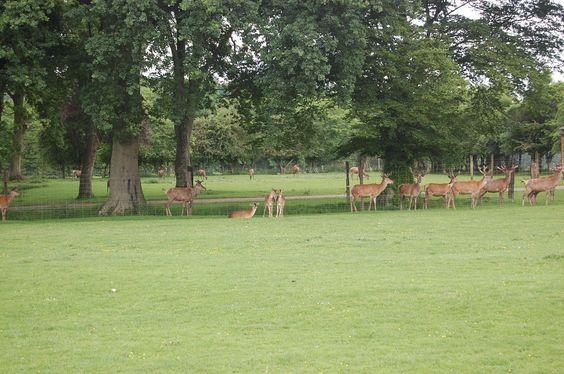 DSC_0103 [50%] [50%].JPG